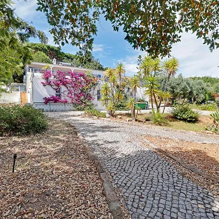 Casa Dos Sonhos By Portucasa *