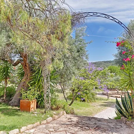 Casa Dos Sonhos By Portucasa