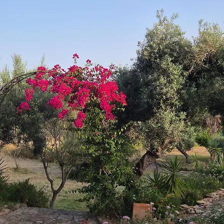 Villa Casa Dos Sonhos By Portucasa