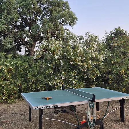 Casa Dos Sonhos By Portucasa Villa São Brás de Alportel