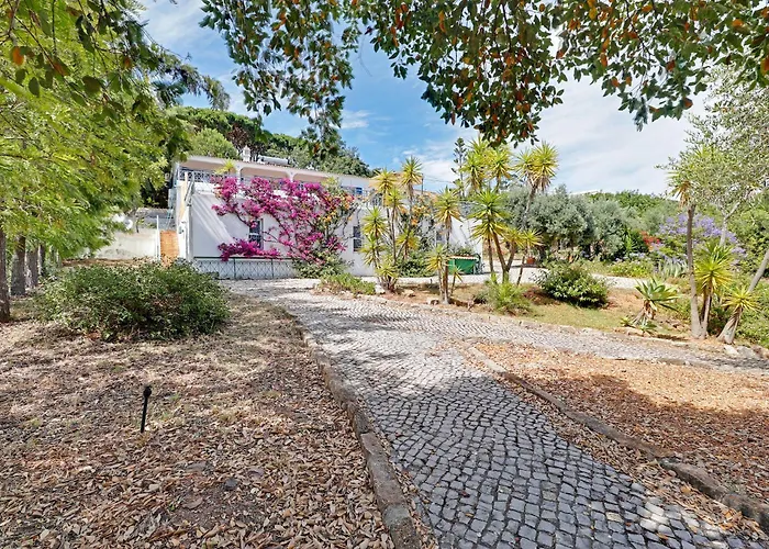 Casa Dos Sonhos By Portucasa *